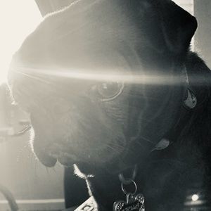 Meet your Posher, Tara